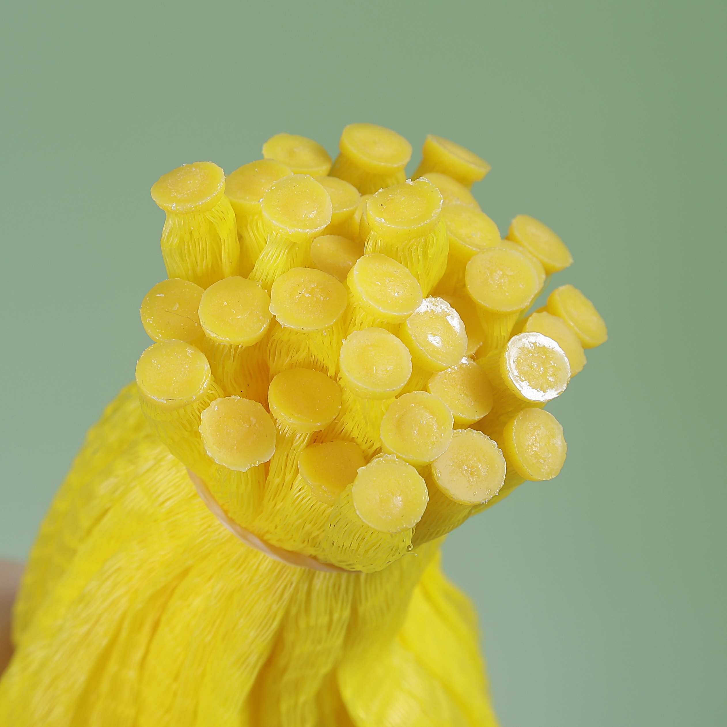 Beg Jaring Plastik Tersemperit Dalam Pembungkusan Roll Bawang Putih Bawang Buah Telur Beg Lengan Jala Tiub